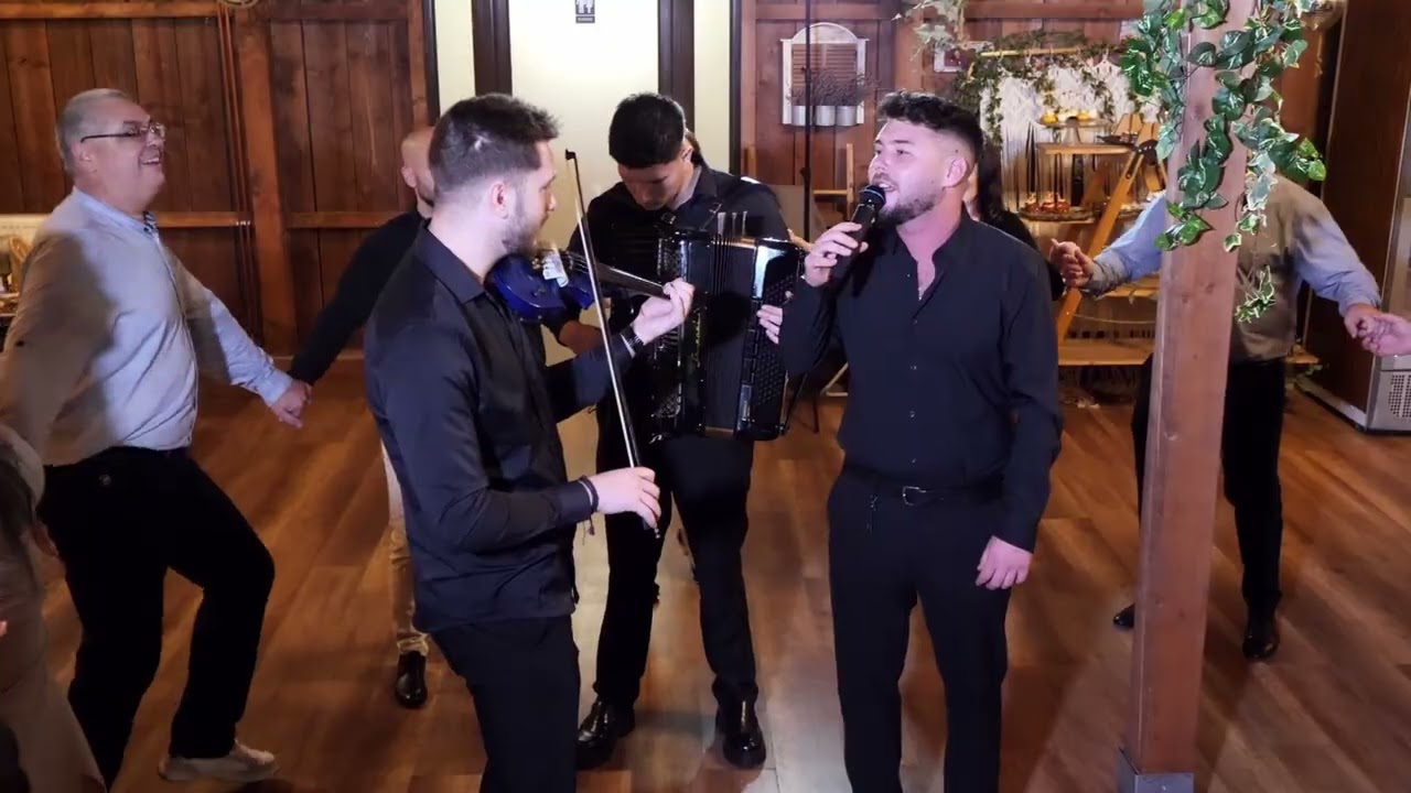 Vio Pîrvan - Se duc anii (Colaj hore banat 2025)