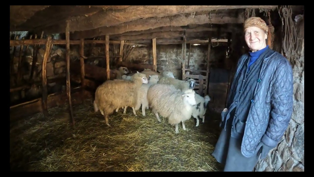 Bишеград: Зимска идила, кроз село Црнчиће / Vi&scaron;egrad: Zimska idila, kroz selo Crnčiće