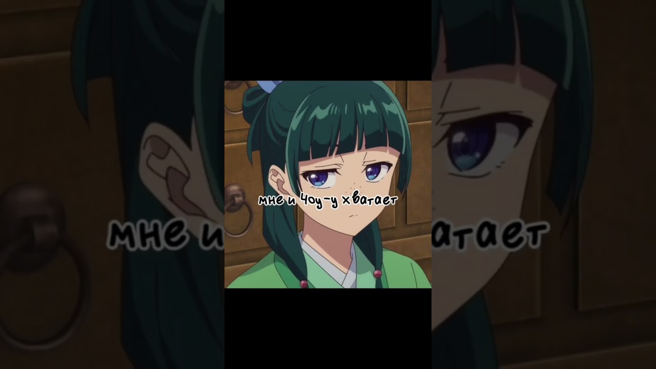 Вот так и появился Чоу #монологфармацевта #чоу