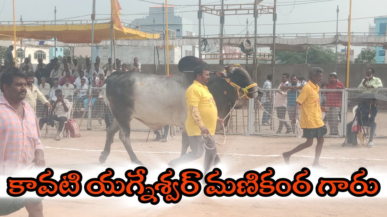 చిలకలూరిపేట  జూనియర్స 3వ కవాటి యగ్నేశ్వర్ మణికంఠం   లింగారావుపాలెం
