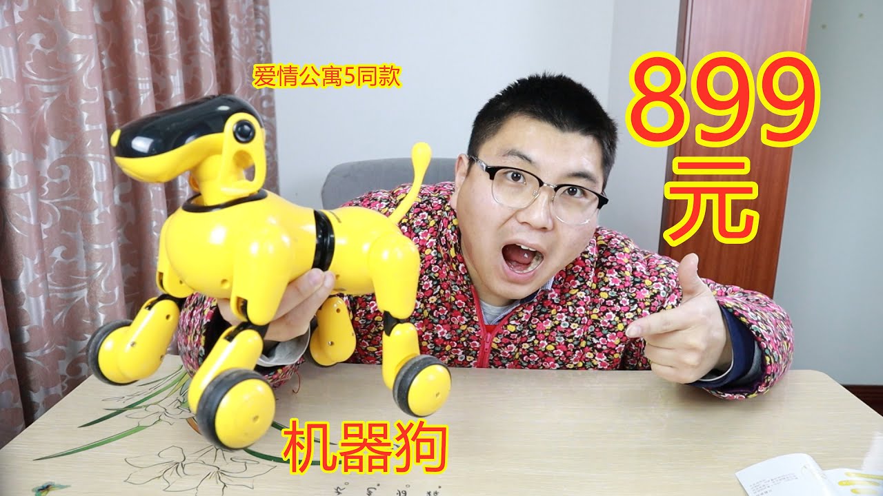 899元买了一条机器狗，竟然会与人对话，太神奇了