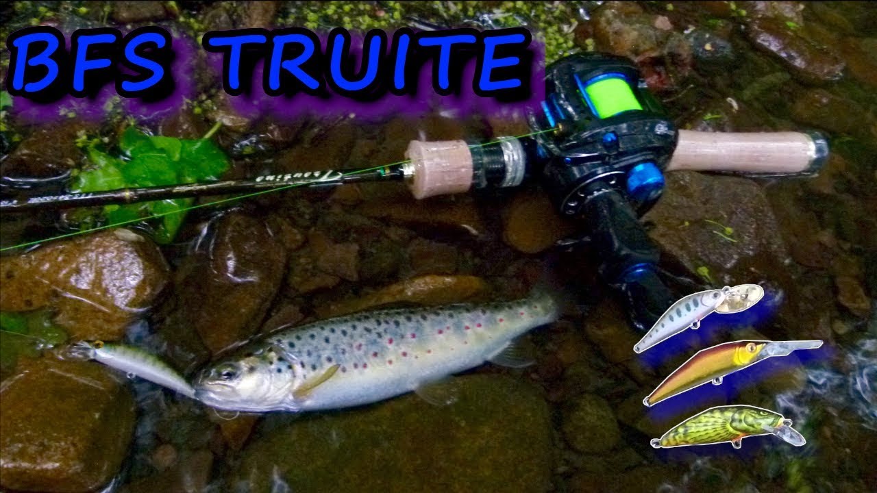 JE PÊCHE LA TRUITE EN BAIT FINESSE !!!