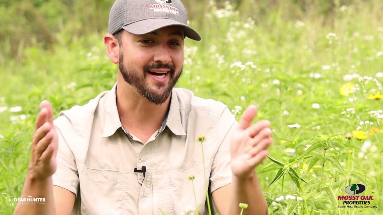 How Planting Pollinators Helps Bees and Butterflies and ALL Wildlife