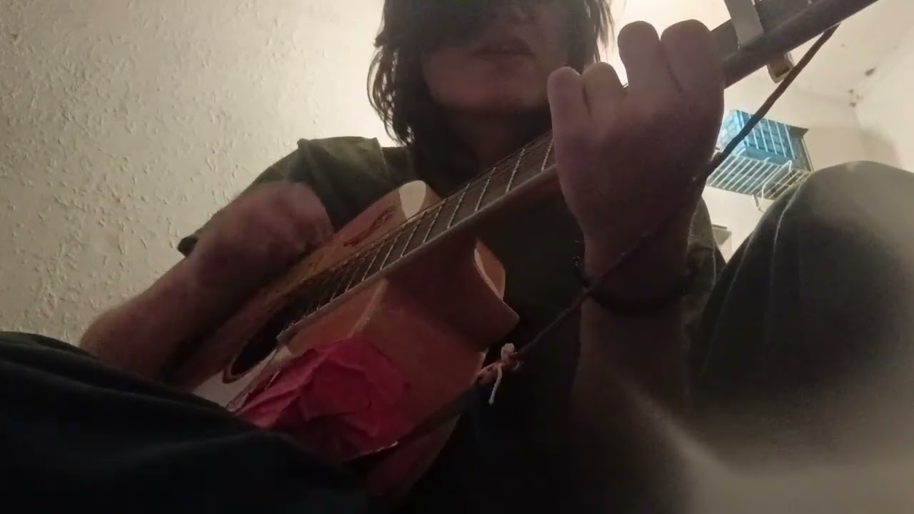 Johnny Hobo And The Freight Trains - Acid Song(Cover)