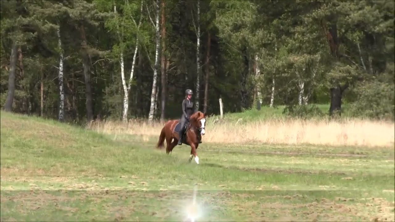 *2022 v.  Valensky - Qualito in der Heide 2025