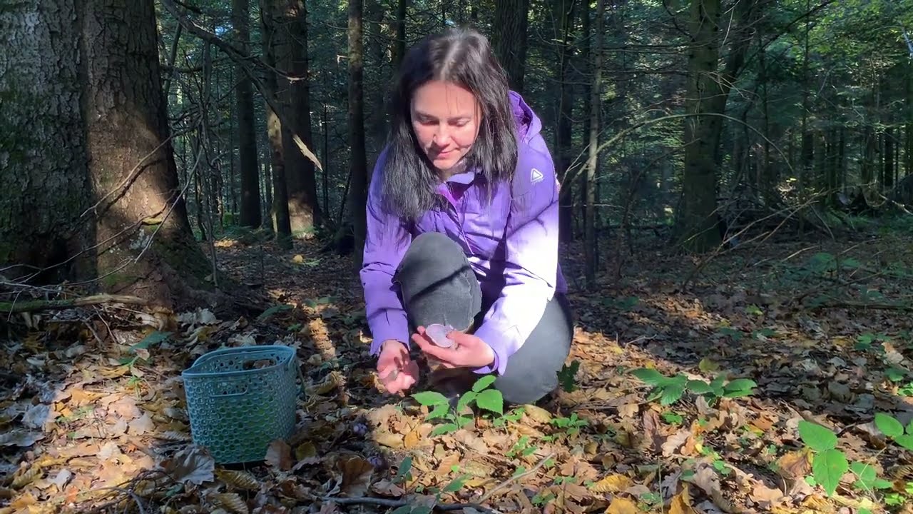 She collects purple mushrooms to make forest shawarma. Part 35/LEPISTA NUDA/ ASMR