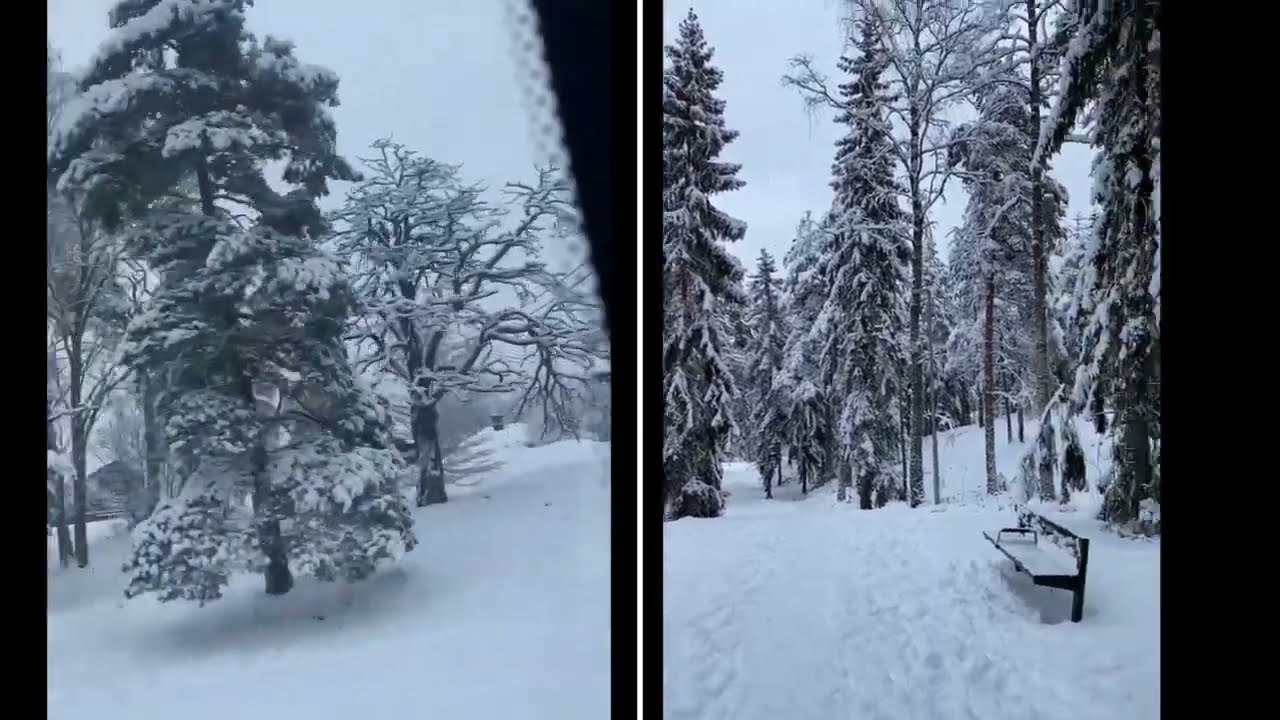 #Wintertrip