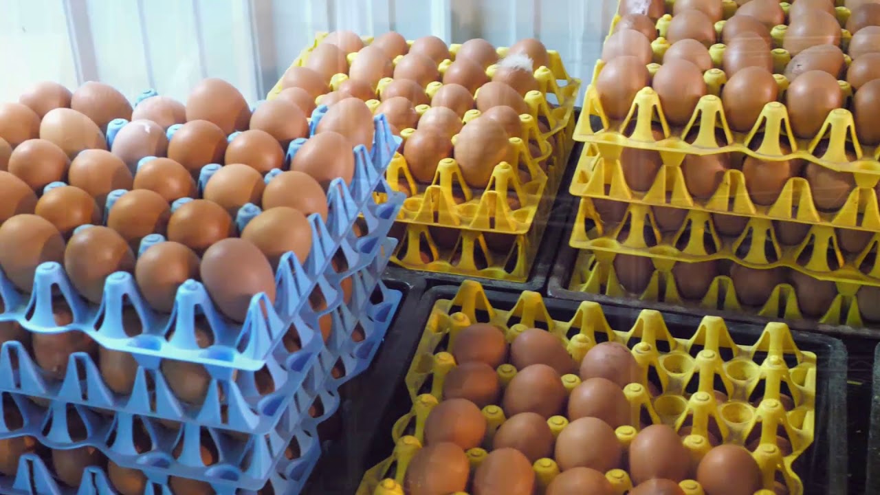 Value Added Producer Grant: Three Brothers Farm