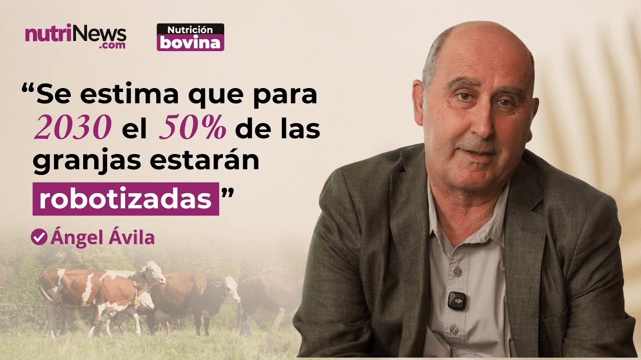 ROBOTS de ORDEÑO y NUTRICIÓN de VACAS LECHERAS | nutriExperts con Ángel Ávila