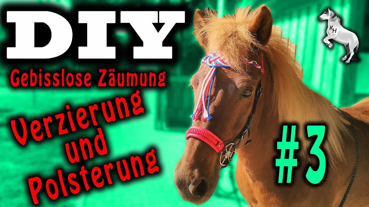 [DIY] Gebissloser Zaum | #3 Verzierung und Polsterung