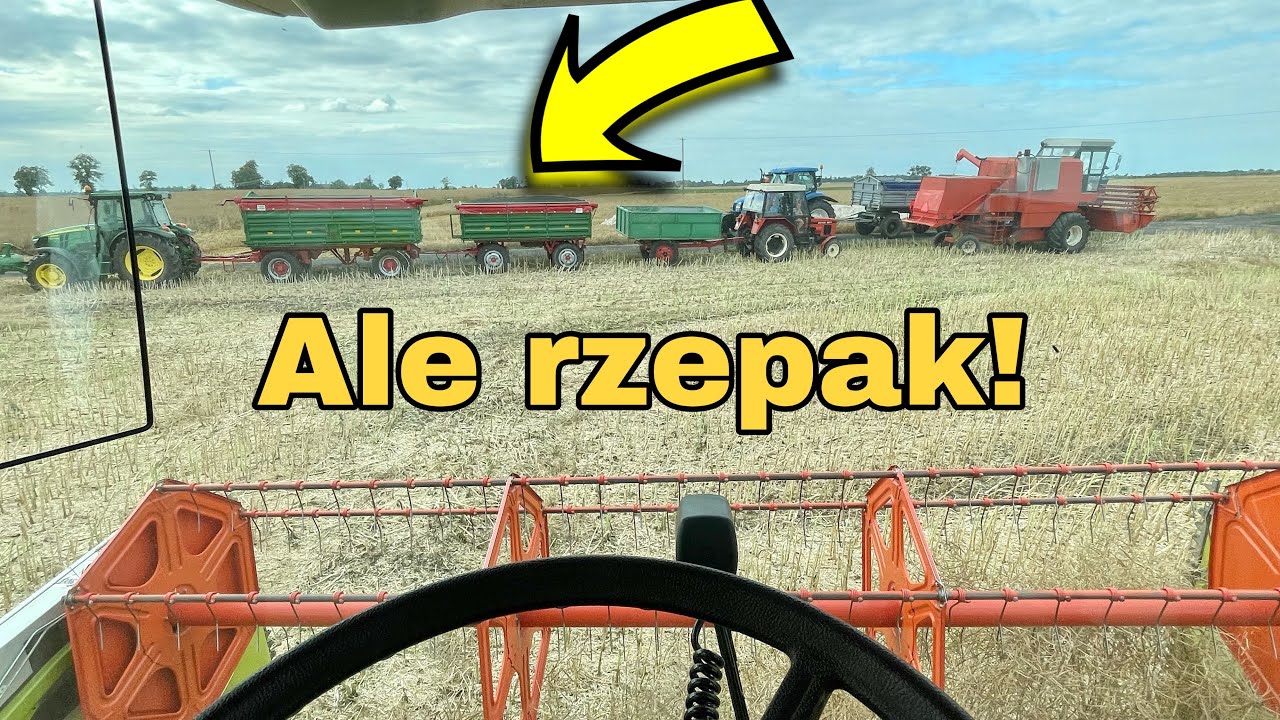 #602- Takie rzepaki to ja mogę kosić codziennie! Miłe zaskoczenie plonem na usłudze! Dwa kombajny!