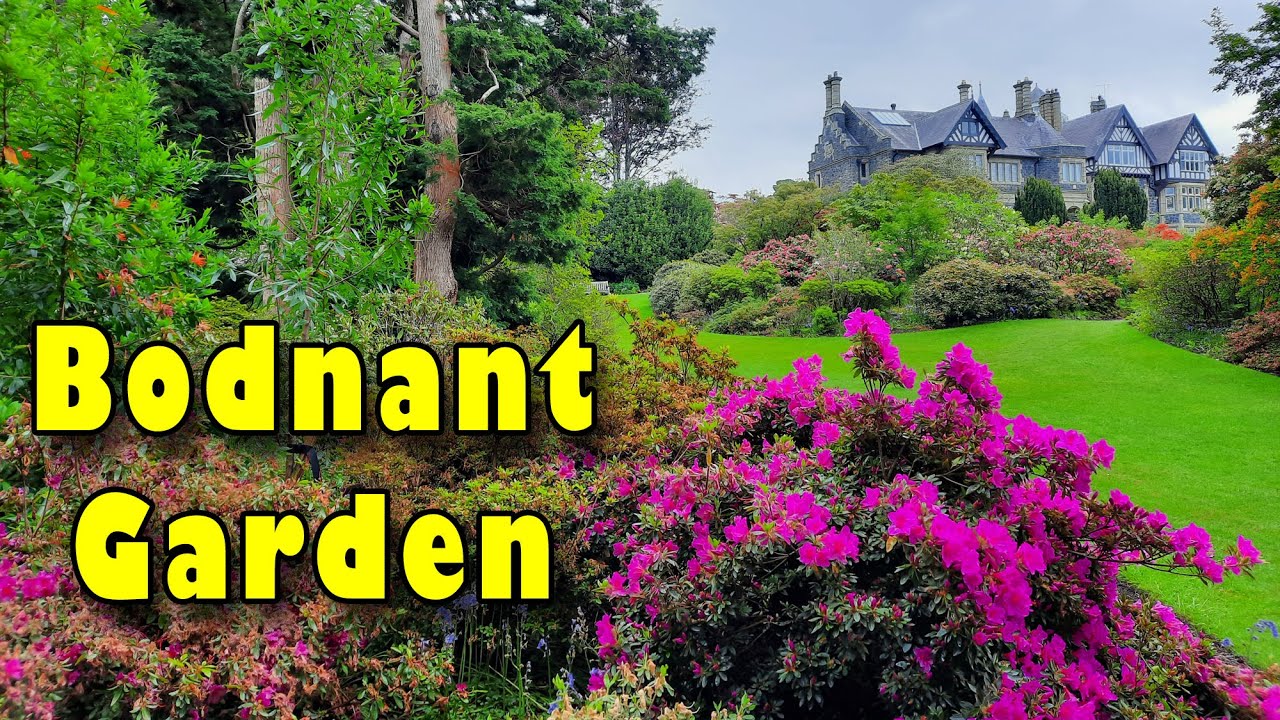 The most beautiful garden in Wales. Bodnant Garden.