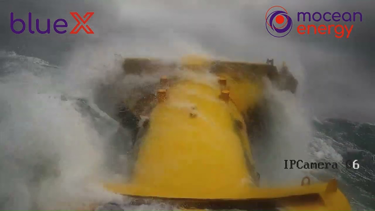 Mocean in Survival Seas