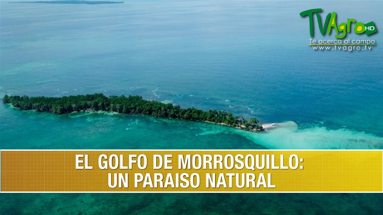 Visitando el Golfo de Morrosquillo: Un paraiso Natural- TvAgro por Juan Gonzalo Angel Restrepo