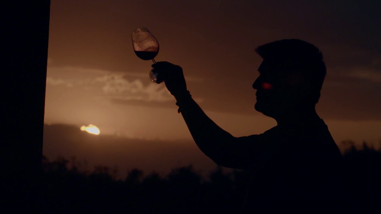 LAS VOCES DEL VINO