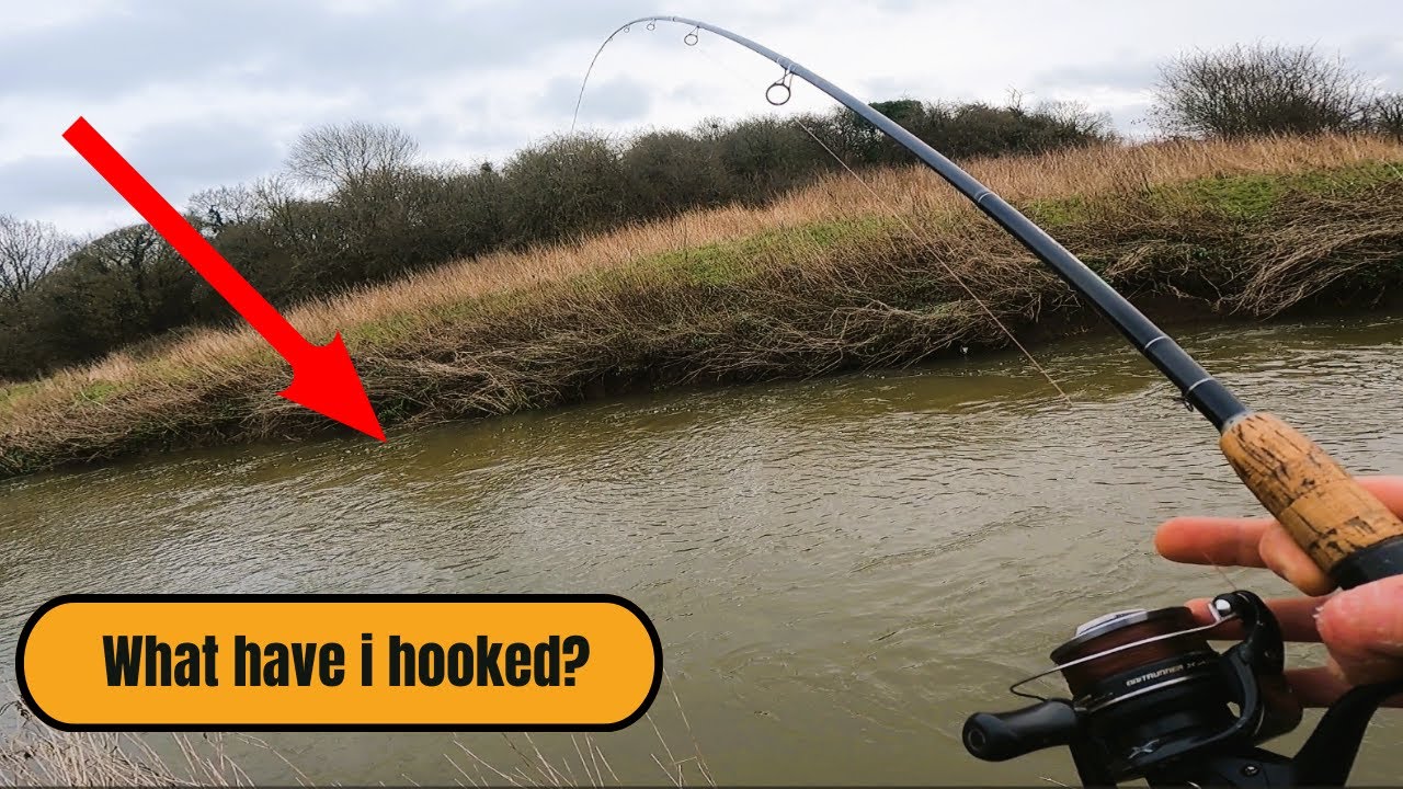 An afternoon on the chub. #Chub #fishing #riverfishing