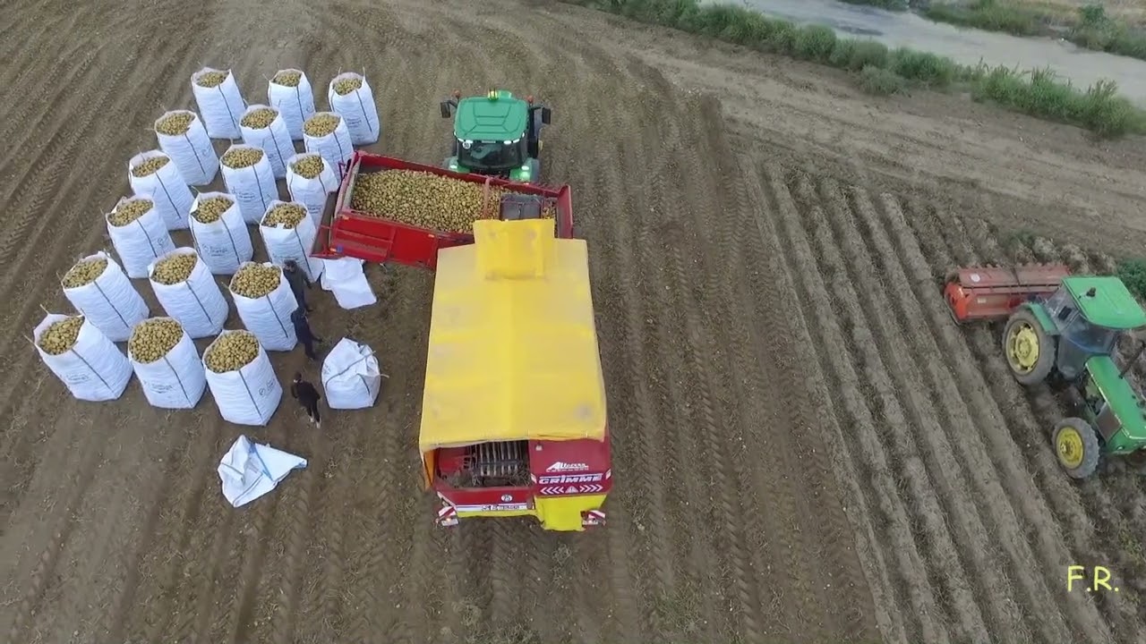 2022 09 19 patatas Bercero HQ