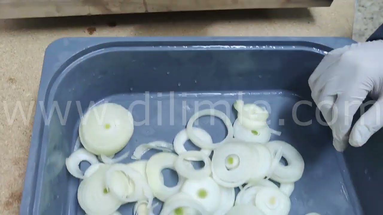 TBD 100 Soğan Dilimleme Makinesi