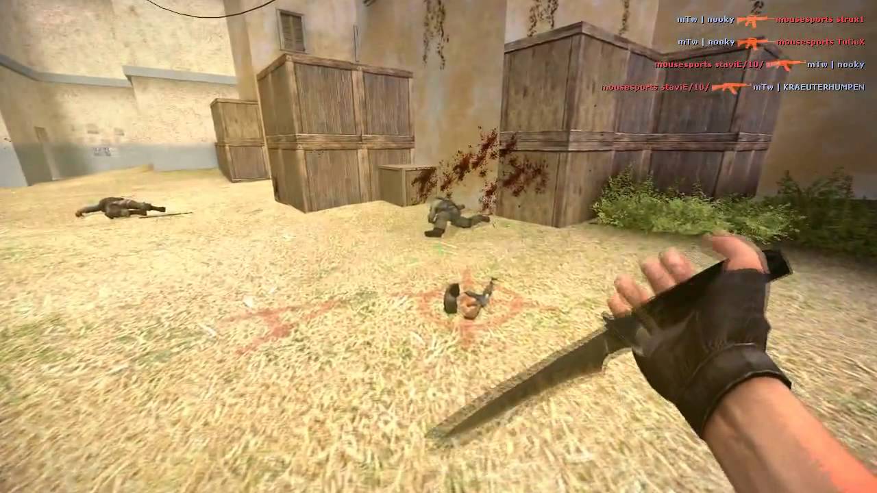 CSS Movie | Team Mousesports - Winter 2011