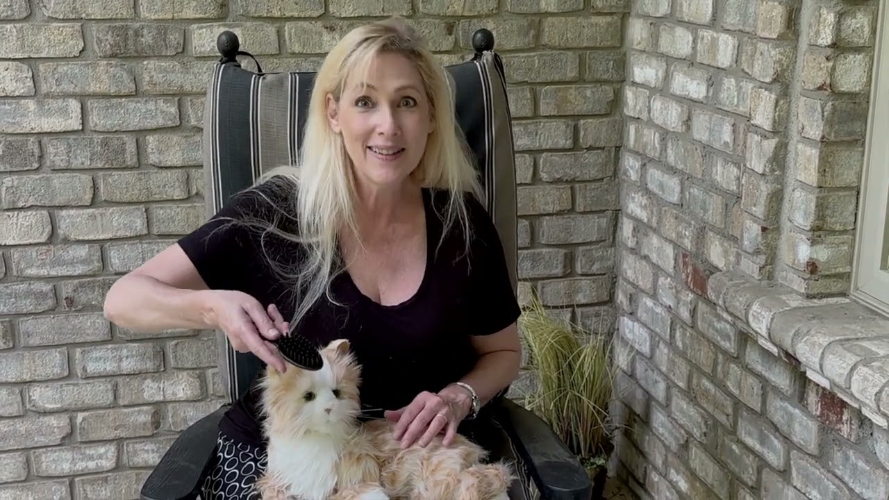 Unboxing the Joy for All animatronic cat (Thunder!)