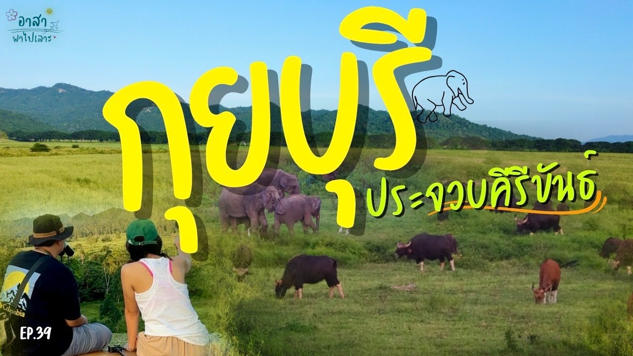 ดูช้างป่า กุยบุรี แวะไปเดินถ้ำพระยานคร สามร้อยยอด จ.ประจวบฯ | อาสาพาไปเลาะ : asapapailor