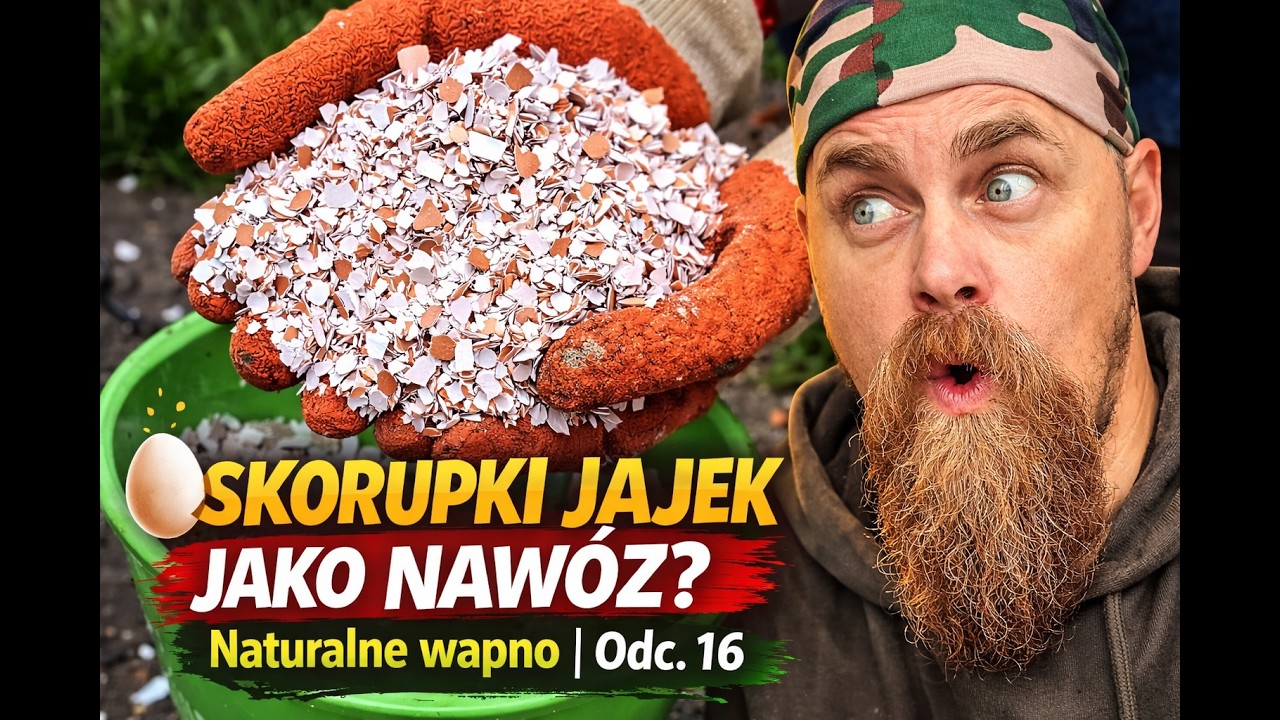 Skorupki jajek jako nawóz? Naturalne wapno | Odc. 16