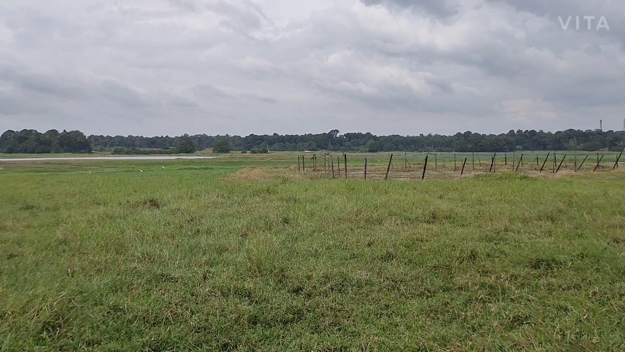 Cn vlogs#nature#piravom#karikkode#