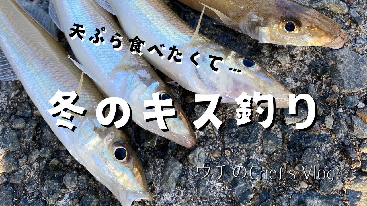 【字幕ON推奨】真冬にキス釣りの釣果を求めるのは間違っているだろうか？－ウチのChef's Vlog