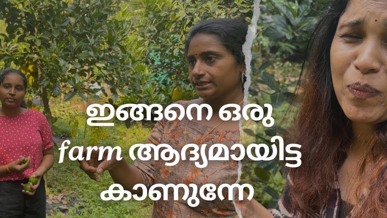 Sneha Organic Farm കൃഷി കാഴ്ചകൾ-2 @Jithashinsho 20 March 2025