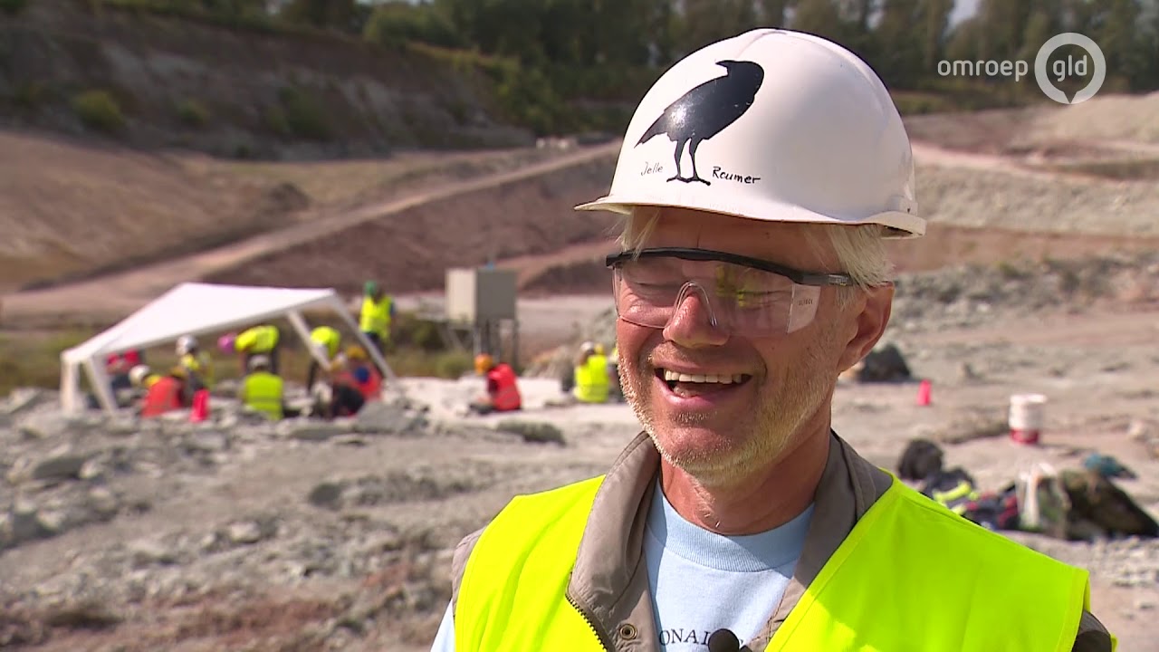 Hakken, beitelen en goed opletten: paleontologisch onderzoek in steengroeve Winterswijk