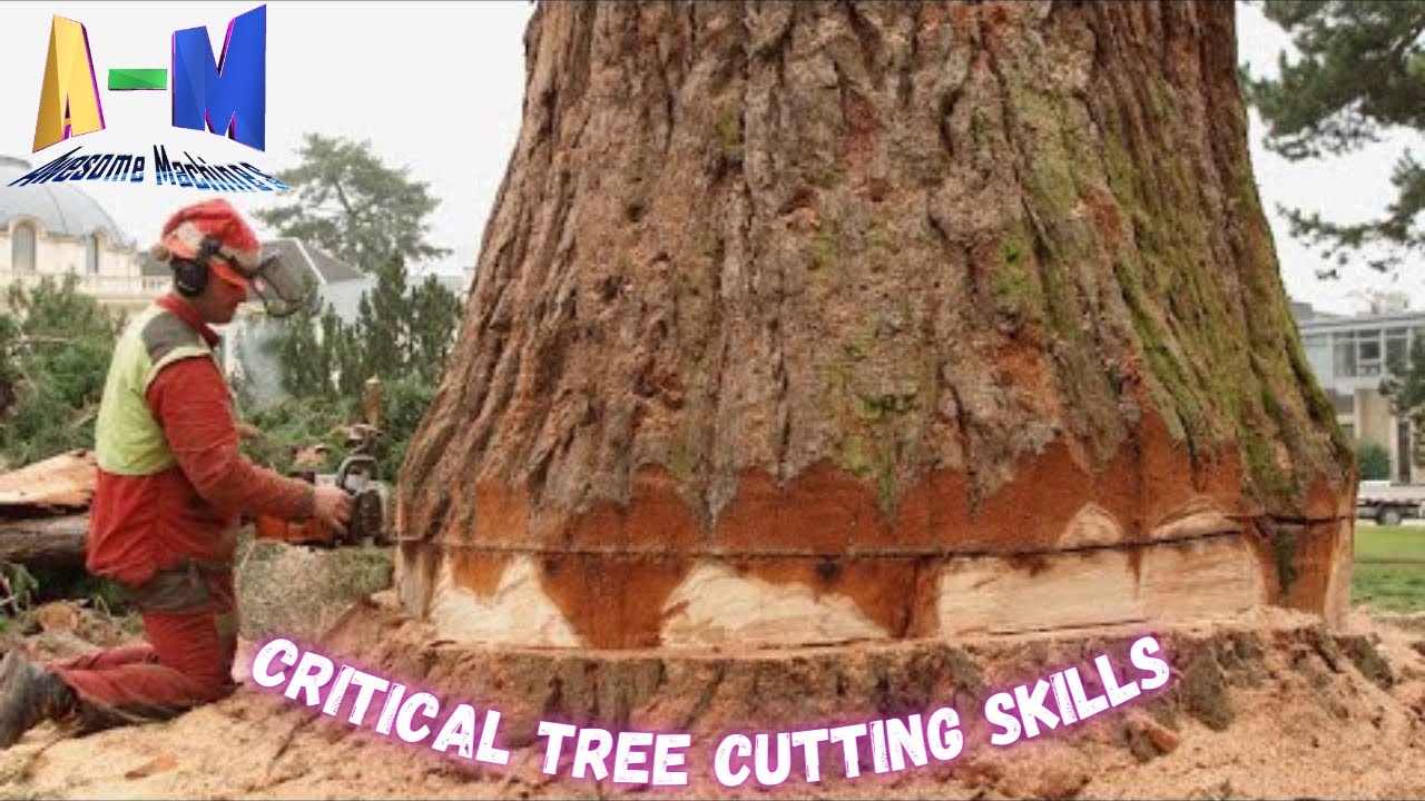Critical tree cutting skills - Best Chainsaw Machine, Logwood Cutter