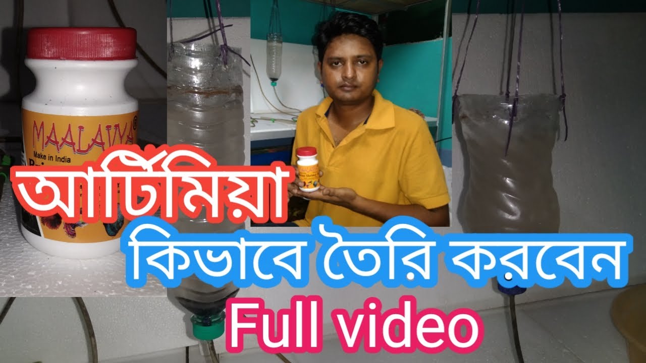 How to Hatch Brine Shrimp Eggs | আটীমীয়া কি ভাবে তৈরি  করবেন । #Adwitiya fishfarm ।