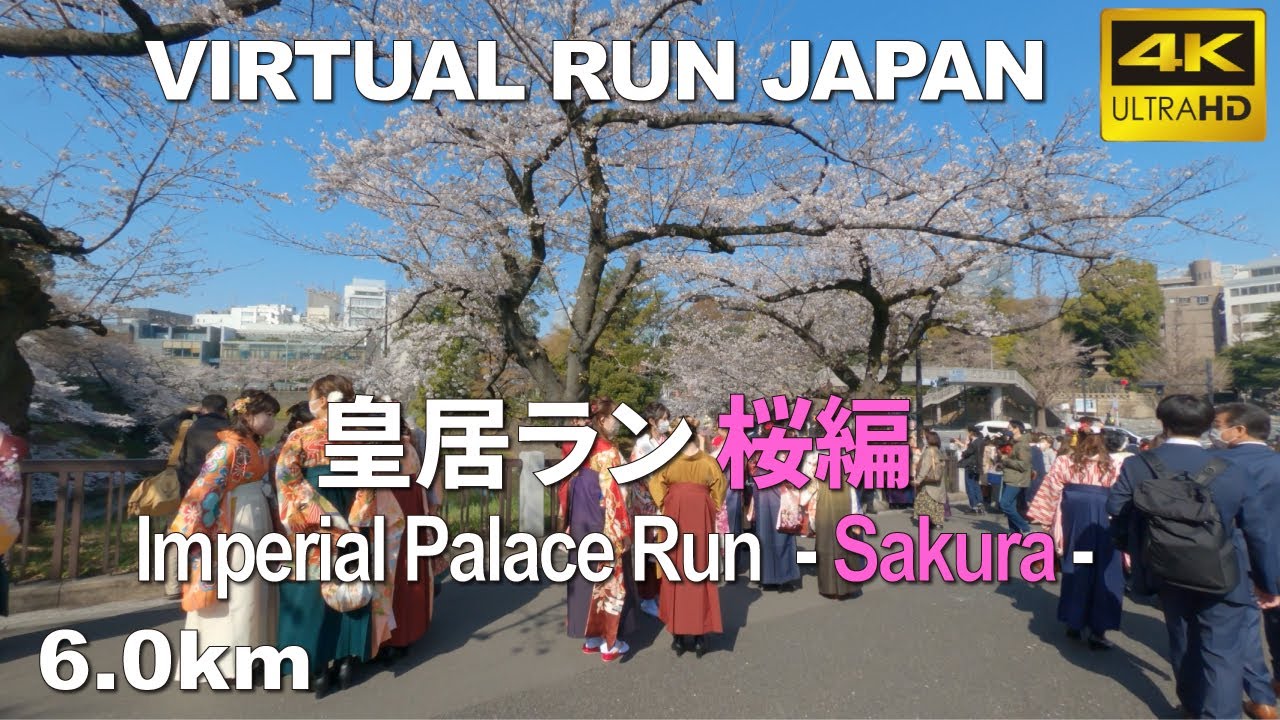 Virtual Run Tokyo | 皇居ラン 千鳥ヶ淵 桜編 Imperial Palace Run with Cherry Blossoms, Japan 6.0km バーチャルラン