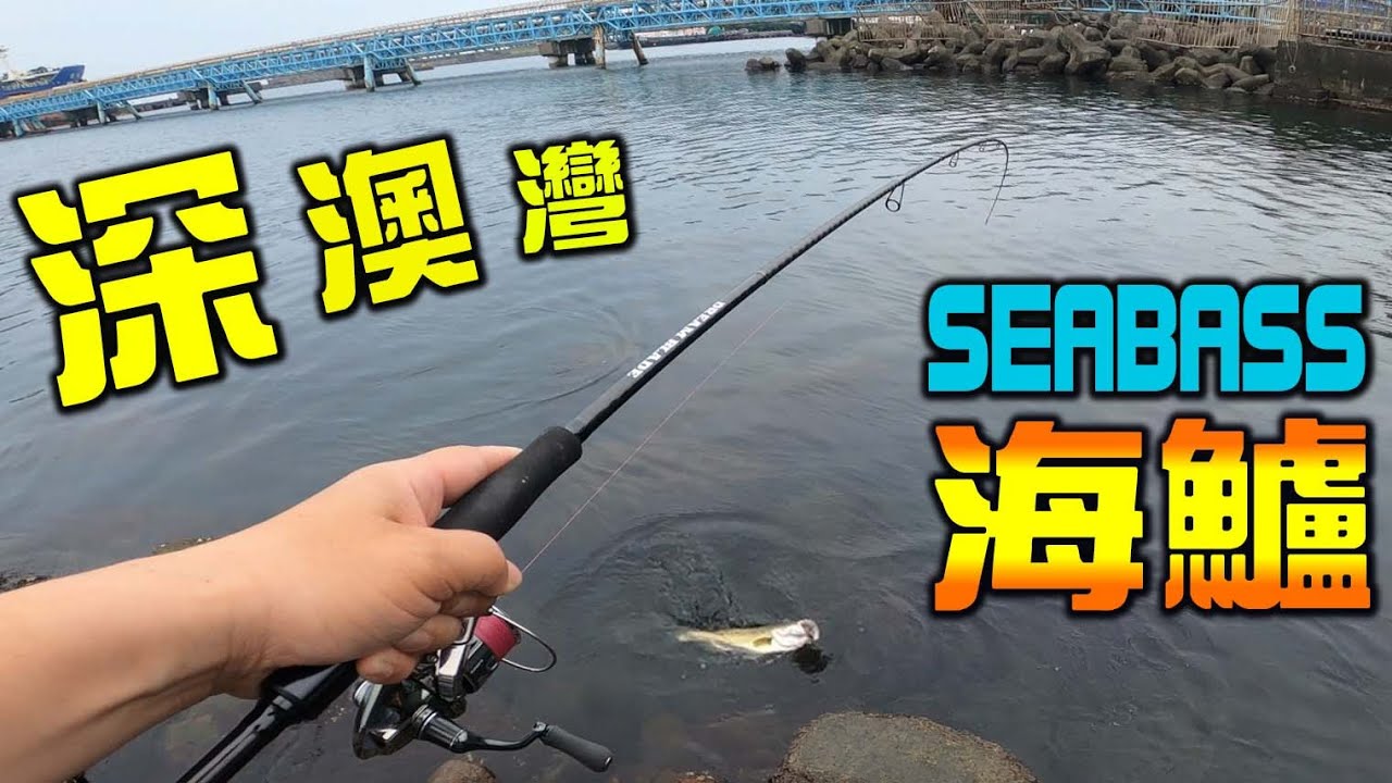 深澳灣SEABASS，難得的海鱸連發
