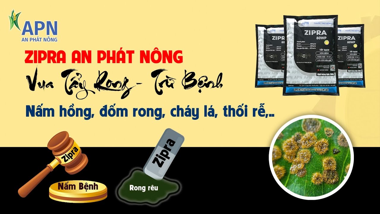 APN - VUA TẨY RONG V&Agrave; TRỪ BỆNH ZIPRA AN PH&Aacute;T N&Ocirc;NG | HOẠT CHẤT MỚI QU&Aacute; NGON