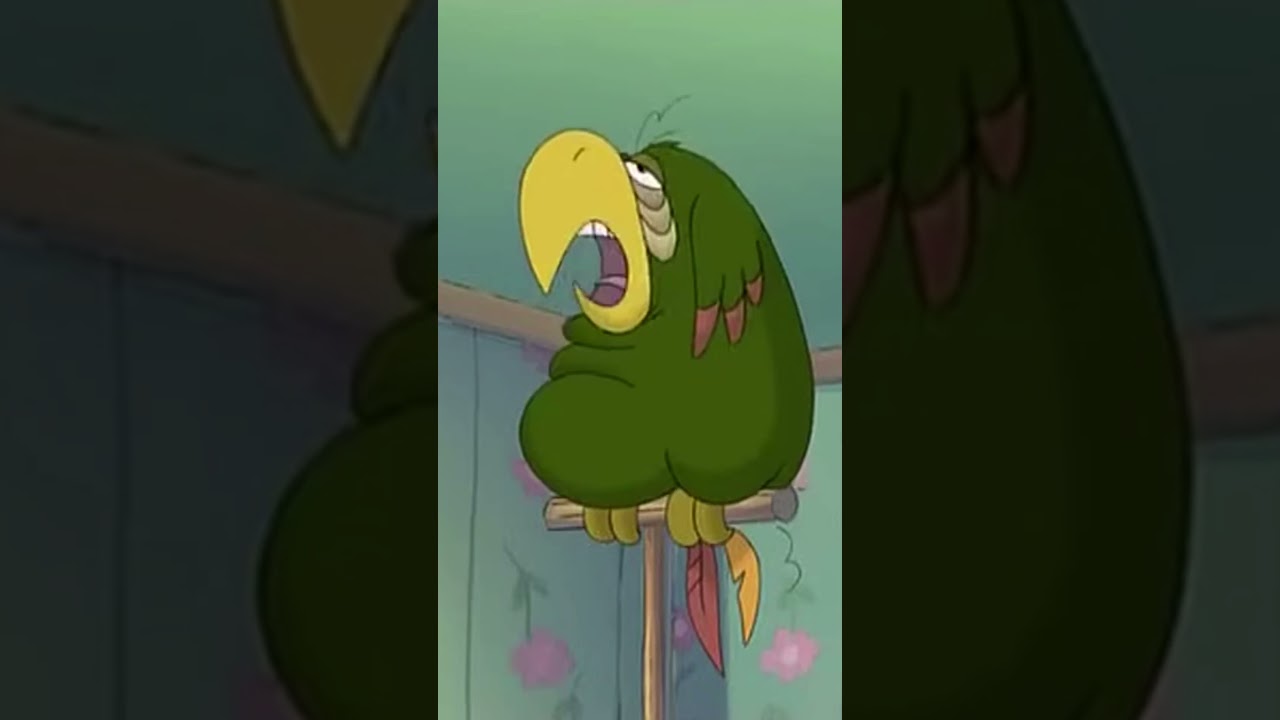 beste deutsche Clips werner Teil 56 #werner #deutsch #kult #comedy