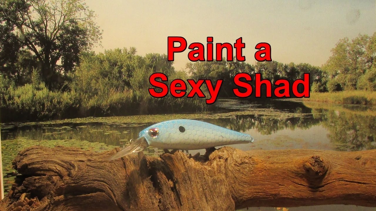 Paint a Sexy Shad