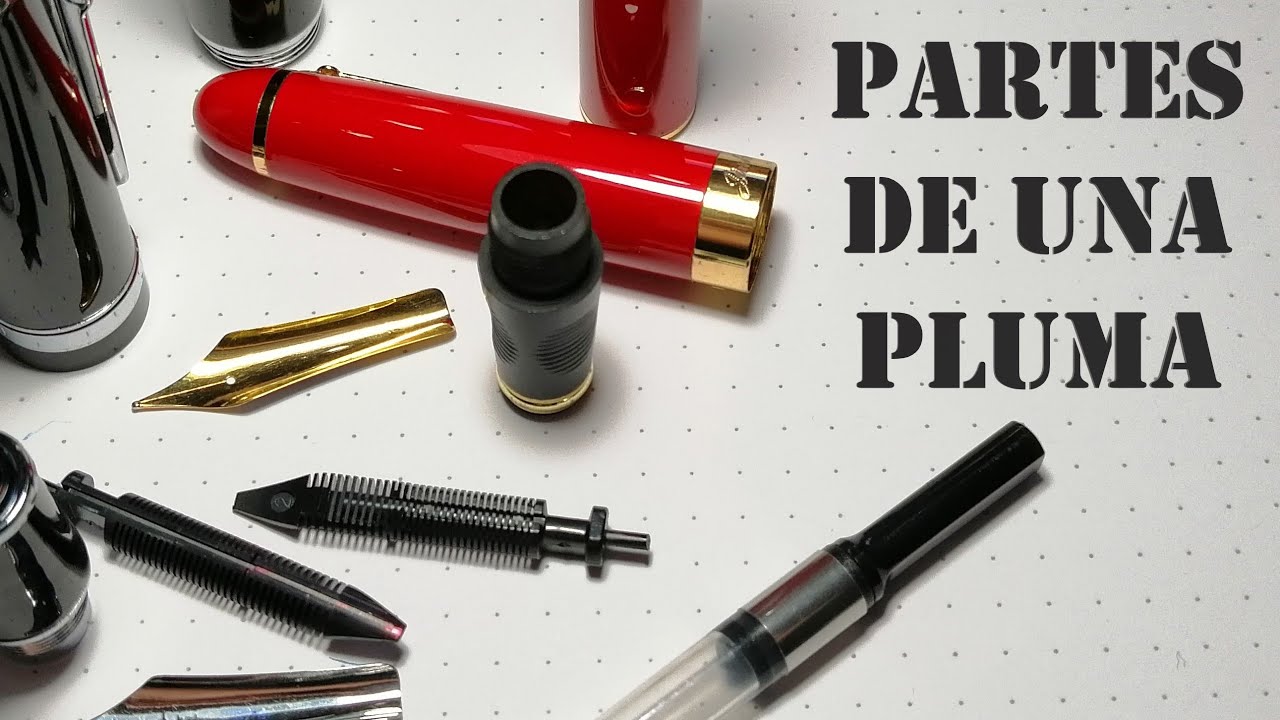 Las partes de una pluma - vocabulario