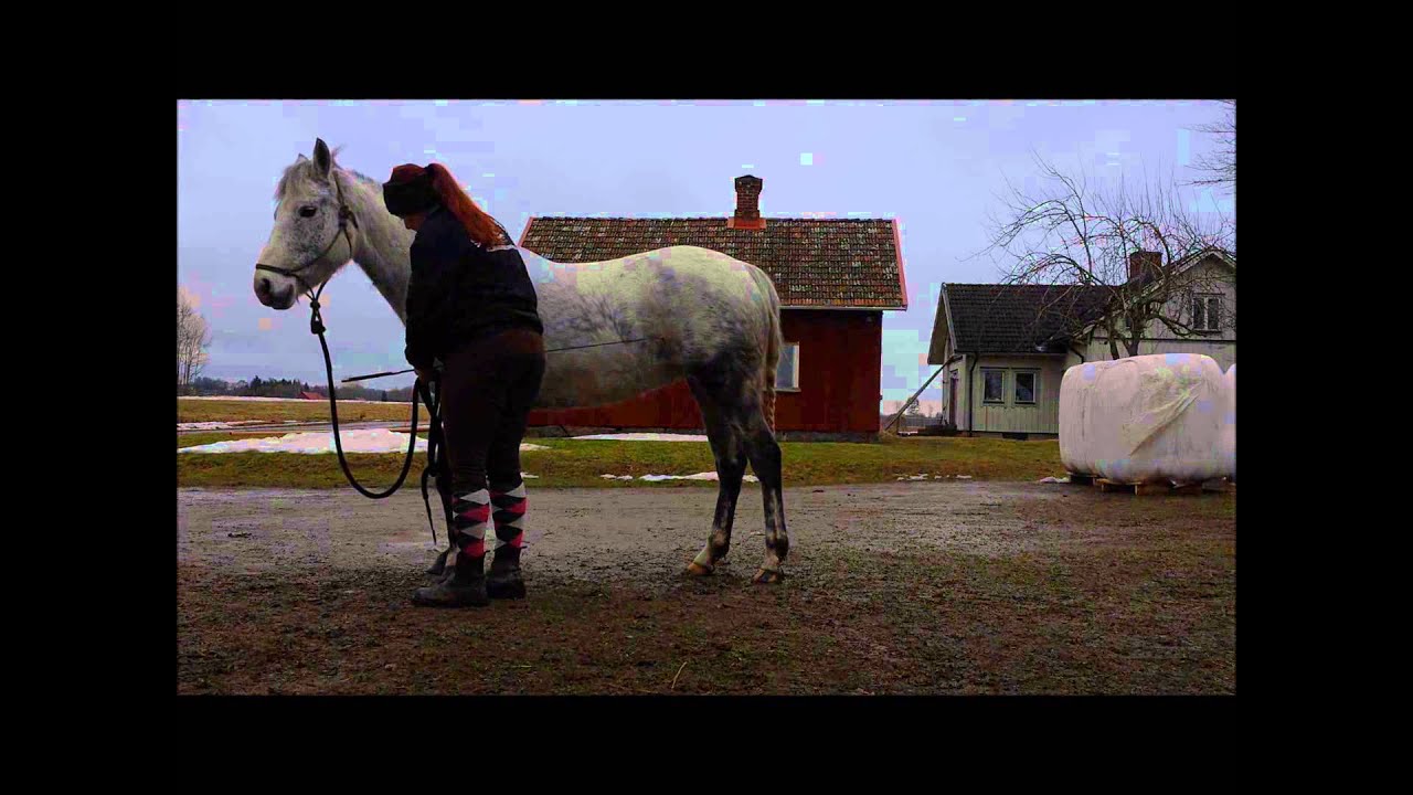 Jag lär Jane buga