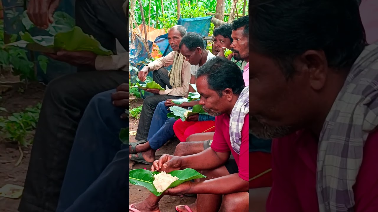India #tribal vlogger tiffin moment #onsirbaran #tribalunity #indigenous