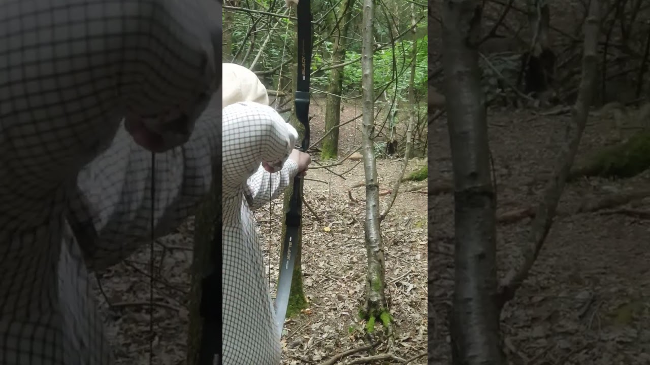 3d Rat Target - Win&Win Black Wolf Recurve Rig.