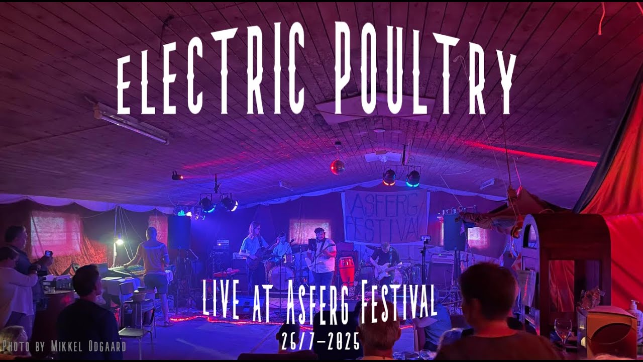 Electric Poultry LIVE -  Asferg Festival 2025 FULL SHOW