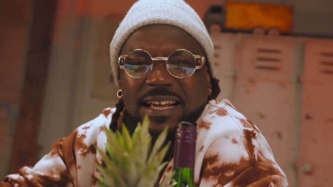 Samini - Abundance (Official Music Video)