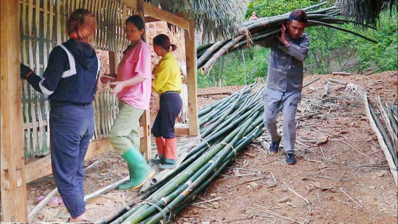 Single Woman Goes to the Forest to Get Trees to Complete Bamboo House in