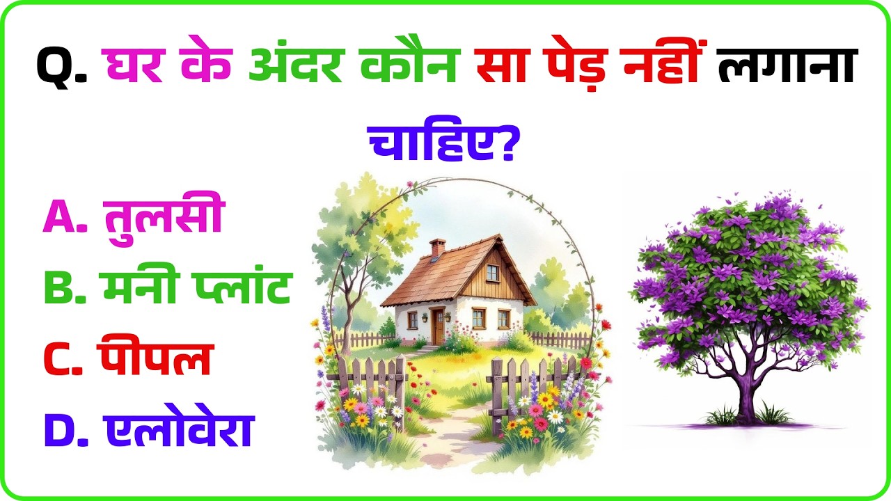 घर के अंदर कौन सा पेड़ नहीं लगाना चाहिए?GK QuestION | GK Question  | Nainachalwale