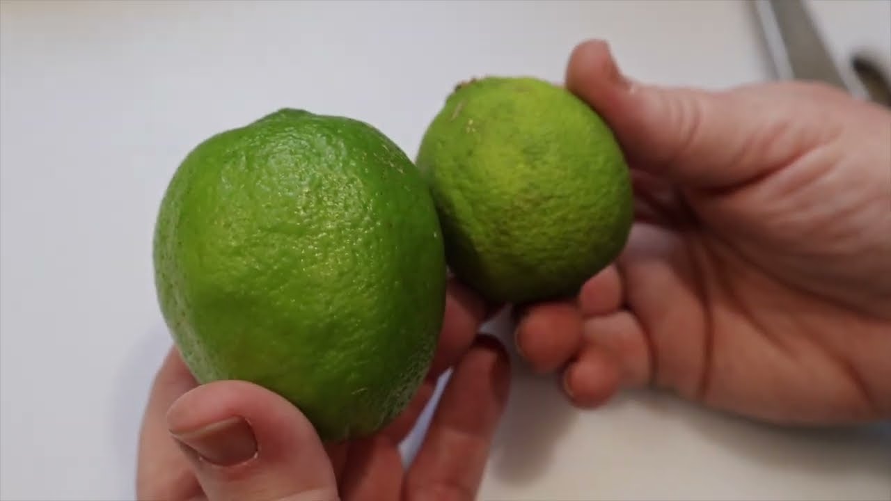 3 Failproof Ways to Preserve Lemon & Limes