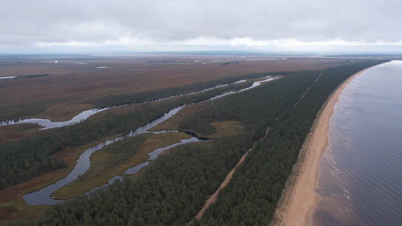 Пляжи Онеги по правой стороне реки Андома. Съёмка с квадрокоптера