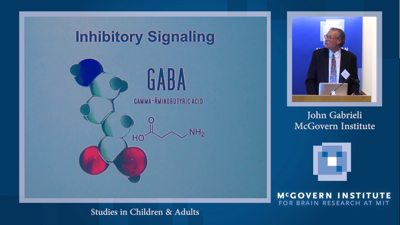 John Gabrieli, Inhibitory Signaling: Tan-Yang Center for Autism Research