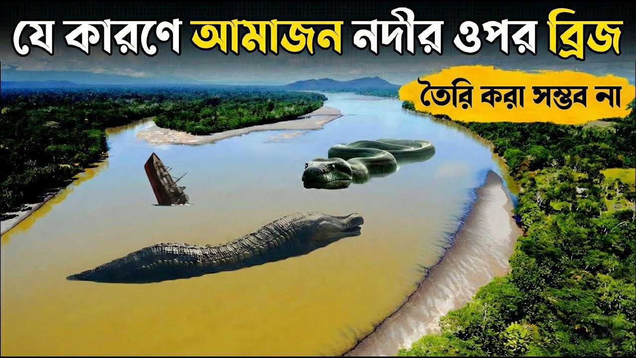 ৬,৪০০ কিমি লম্বা নদী, কিন্তু একটিও ব্রিজ নেই কেন?  কারণ জানলে চমকে উঠবেন | Amazon River Big Mystery