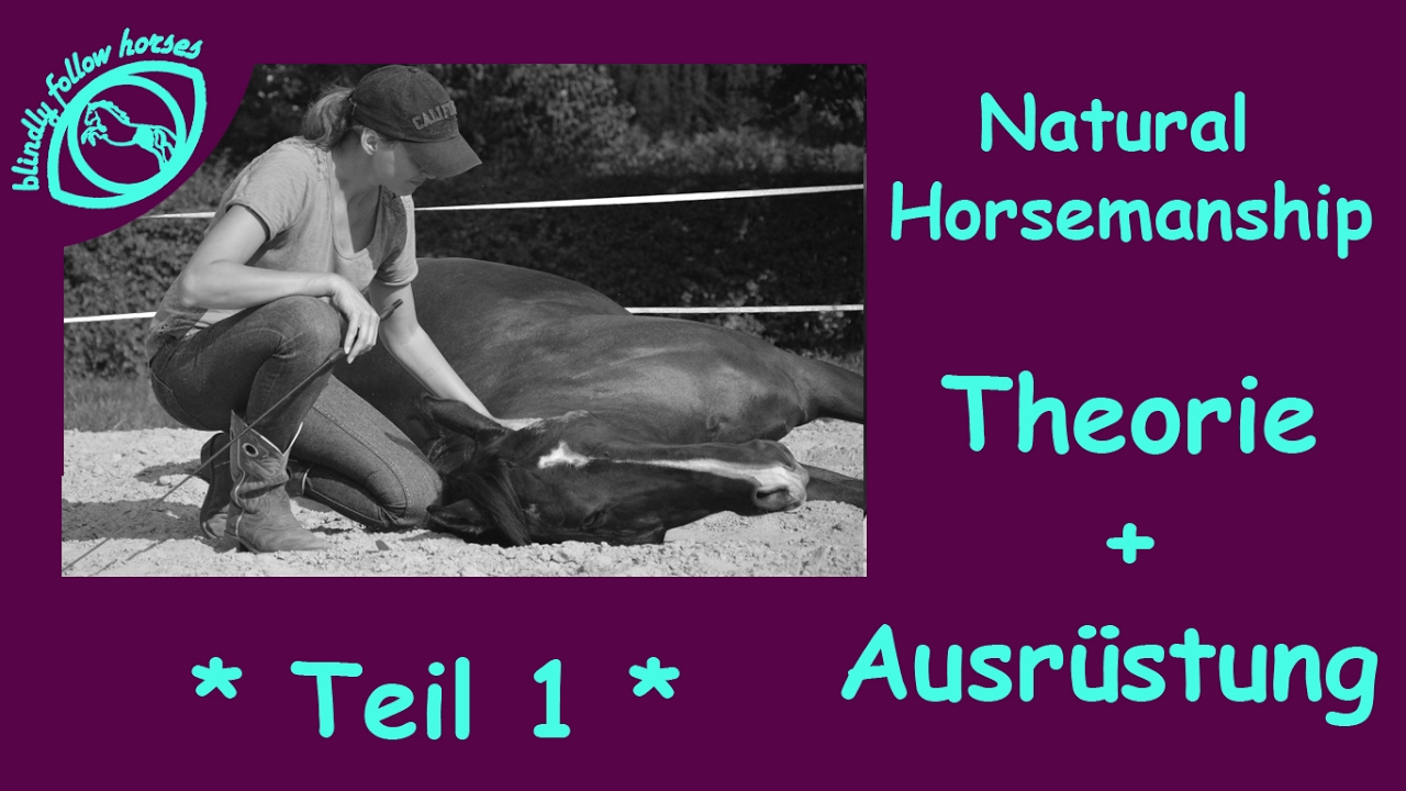 Natural Horsemanship für Einsteiger *** Teil 1 * **